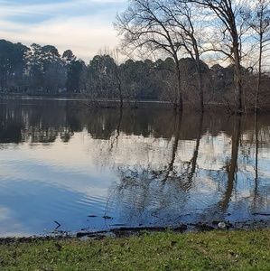 Meet your Posher, Rayla